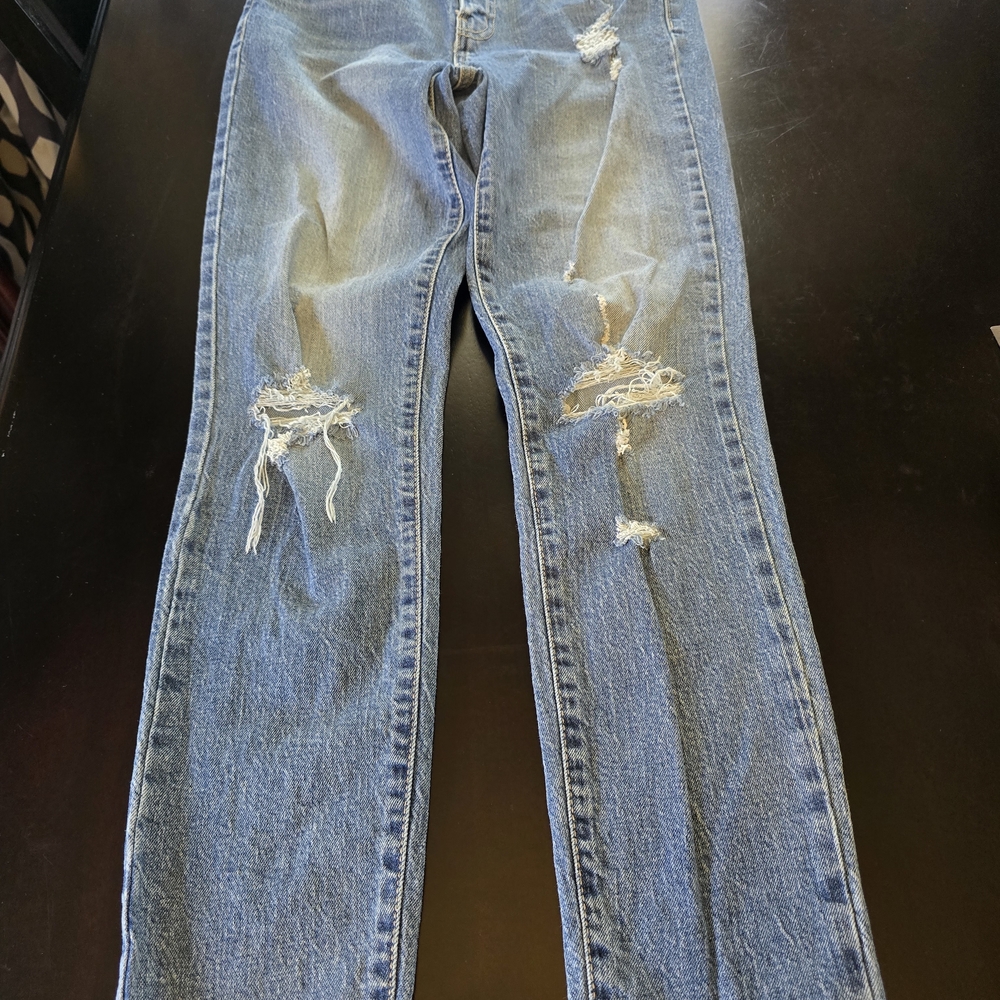 Oasis by Eunina Distressed Straight Blue Stretch Denim Jeans